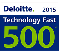 Deloitte Award 2015